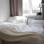 Vistula Nest Two Bedroom Apartment Near Kazimierz