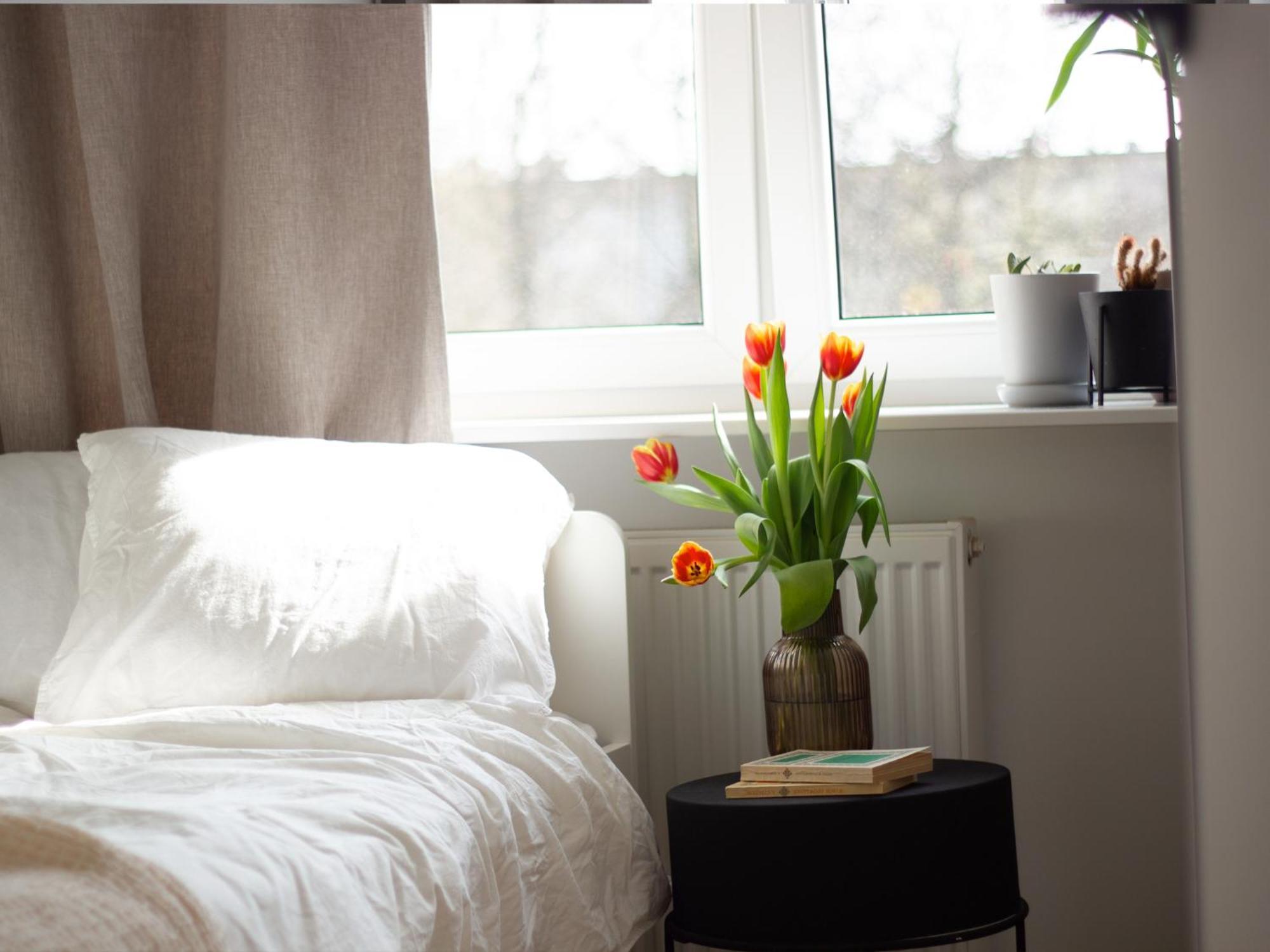 Vistula Nest Two Bedroom Near Kazimierz